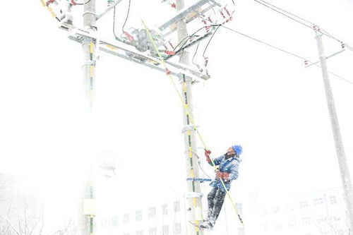 顶风冒雪保供电 国网威海供电公司积极应对今冬首场暴风雪
