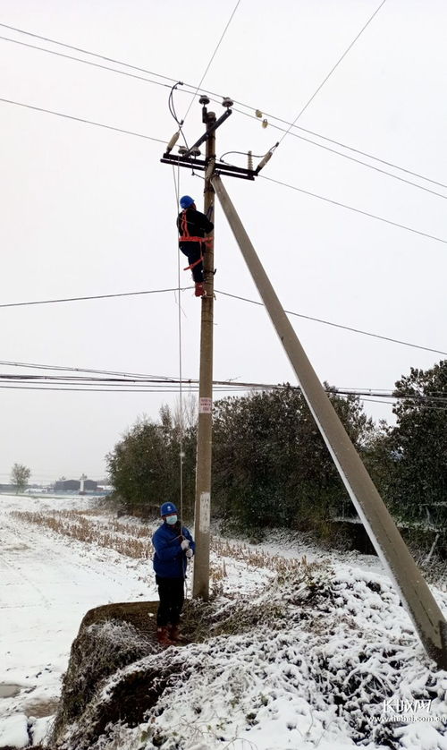 组图 石家庄供电公司员工 冒雪巡查故障 及时抢修送电